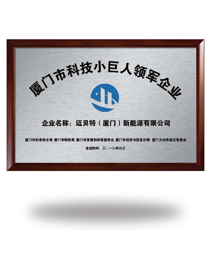 провідне підприємство в галузі науки і техніки Xiamen